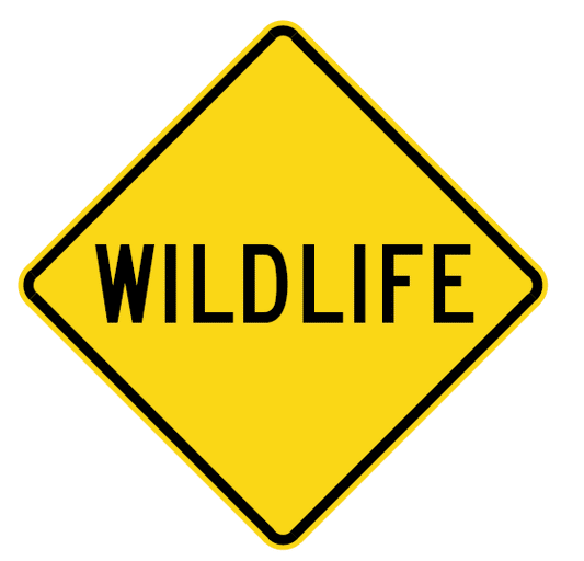 W5-56n - Wildlife